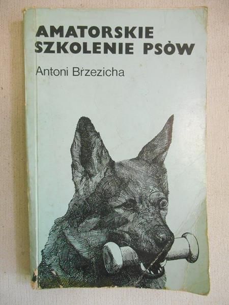 Amatorskie szkolenie psów