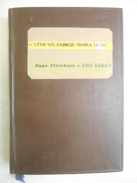 Steinhaus Hugo - Sto zadań