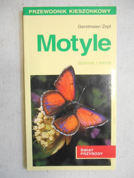 Motyle
