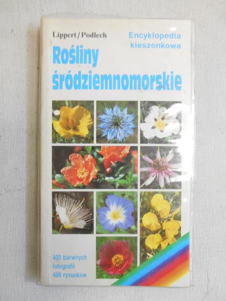 Rośliny śródziemnomorskie