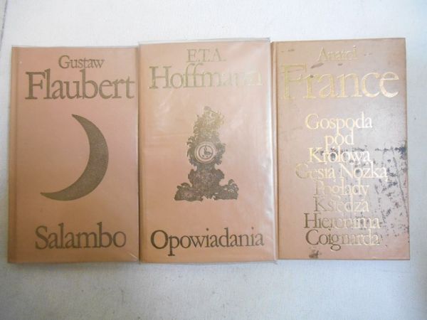 Salambo  Gospoda pod Królową Gęsią Nóżką  Poglądy Księdza Hieronima Coignarda  Opowiadania