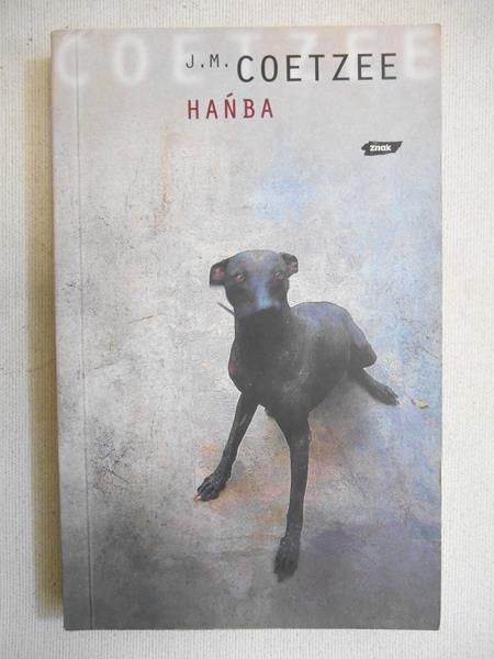 Hańba
