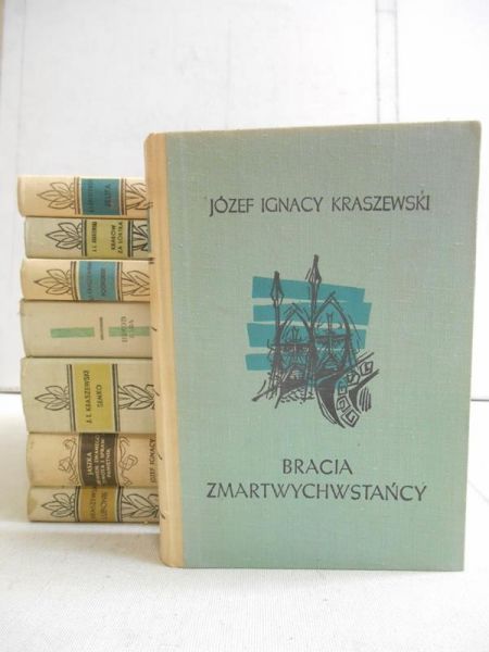 Kraszewski Ignacy Józef - Dzieje Polski, 8 tomów