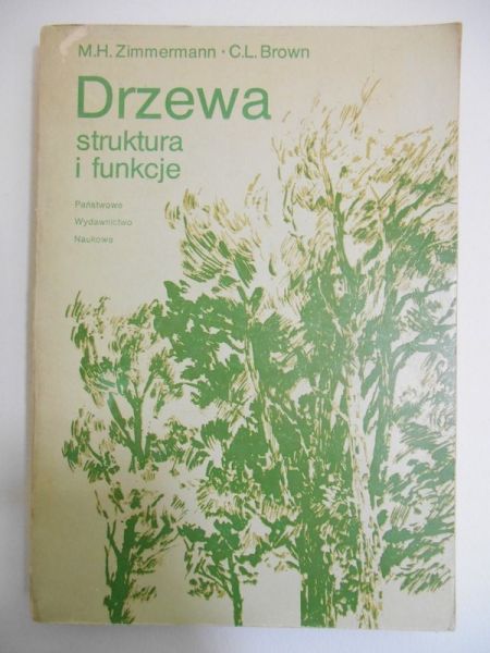 Drzewa - struktura i funkcje