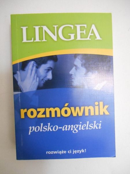 Rozmównik polsko-angielski