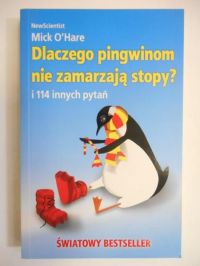 Dlaczego pingwinom nie zamarzają stopy?