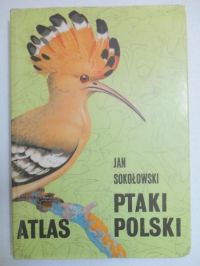 Ptaki Polski