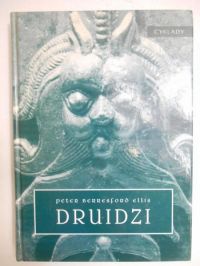 Druidzi