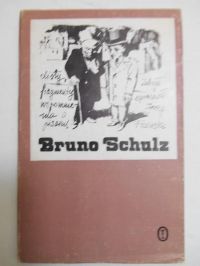 Bruno Schulz. Listy, fragmenty. Wspommnienia o pisarzu