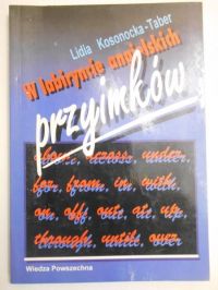 Kosonocka-Taber Lidia - W labiryncie angielskich przyimków