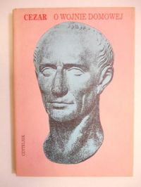 O wojnie domowej