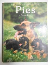 Pies
