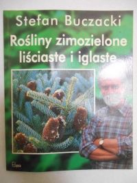 Rośliny zimozielone liściaste i iglaste