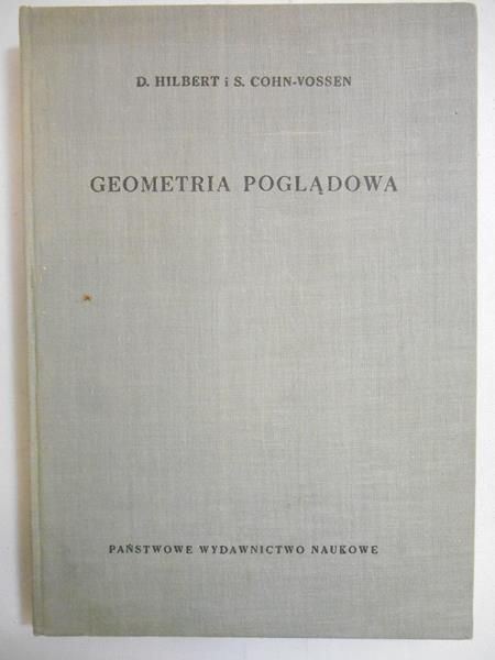 Geometria poglądowa
