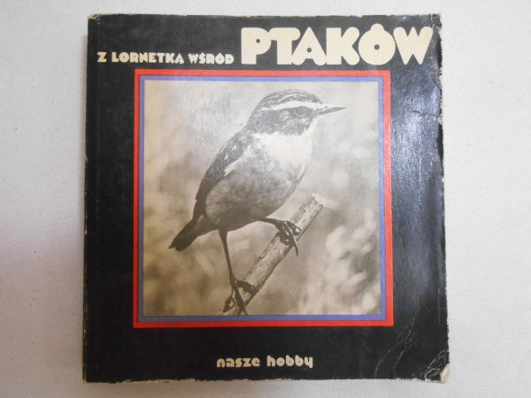 Z lornetką wśród ptaków
