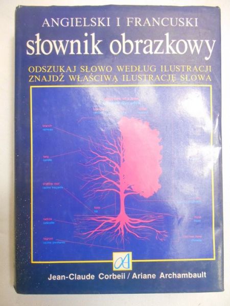 Angielski i francuski słownik obrazkowy
