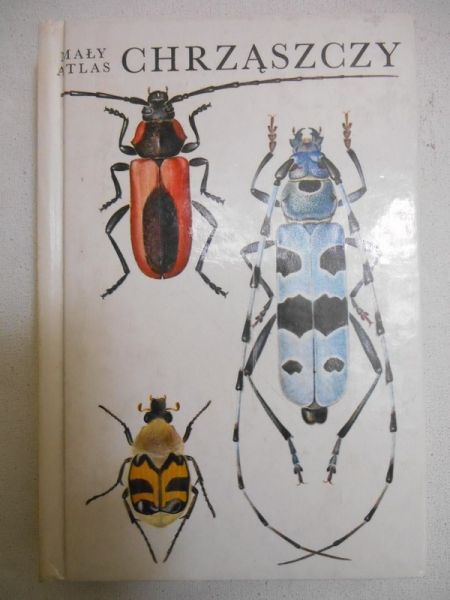 Mały atlas chrząszczy