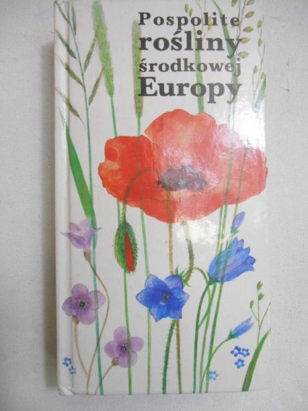 Pospolite rośliny środkowej Europy