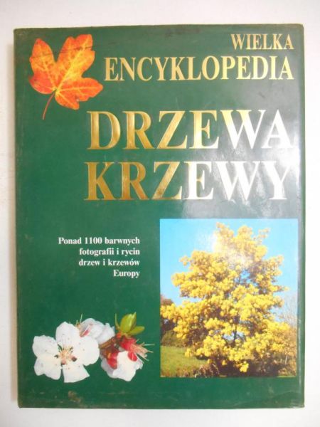 Wielka encyklopedia. Drzewa, krzewy