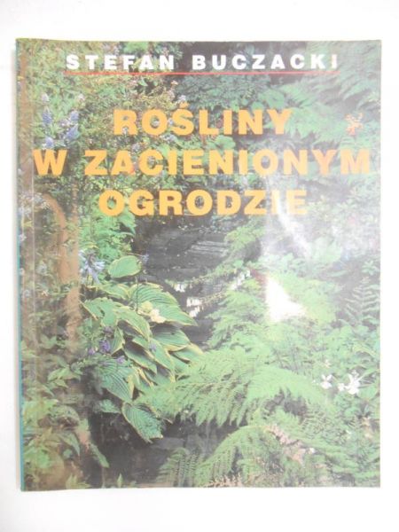 Rośliny w zacienionym ogrodzie