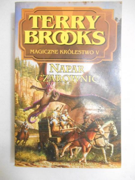 Napar czarownic. Magiczne Królestwo V