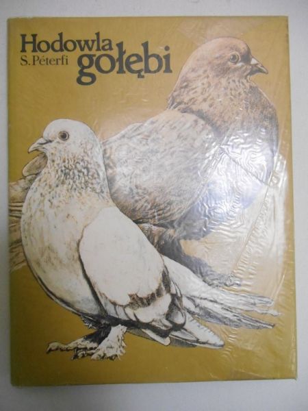 Hodowla gołębi