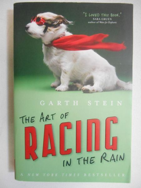 Stein Garth - The Art of Racing in the Rain