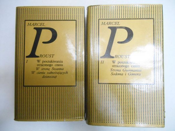 W poszukiwaniu straconego czasu, tomy I-II