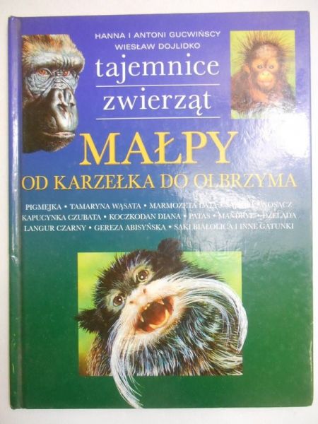 Małpy. Od karzełka do olbrzyma