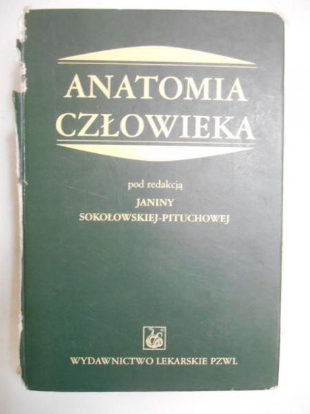 Anatomia człowieka