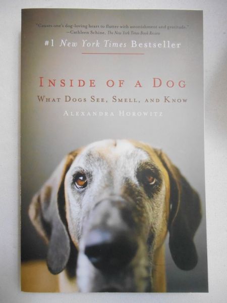 Inside of a Dog