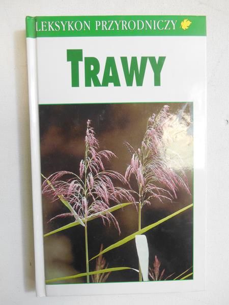 Trawy