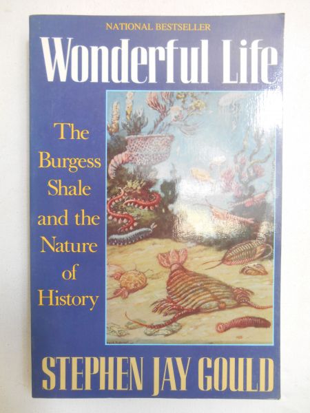 Wonderful Life