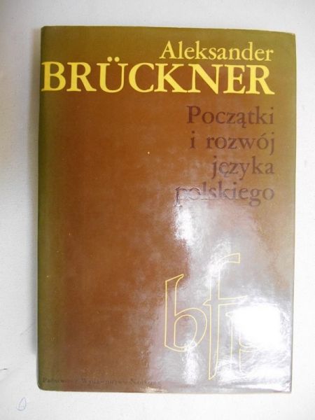 Początki i rozwój języka polskiego