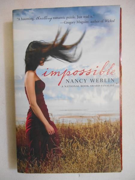 Werlin Nancy - Impossible