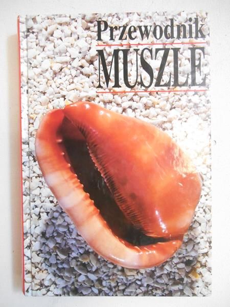 Przewodnik muszle