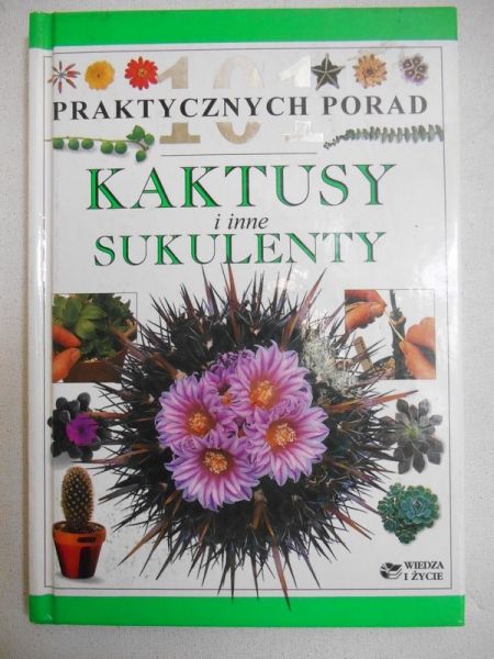 Kaktusy i inne sukulenty