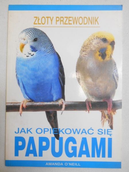 Jak opiekować się papugami