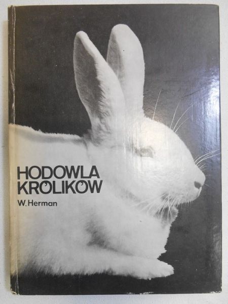 Hodowla królików