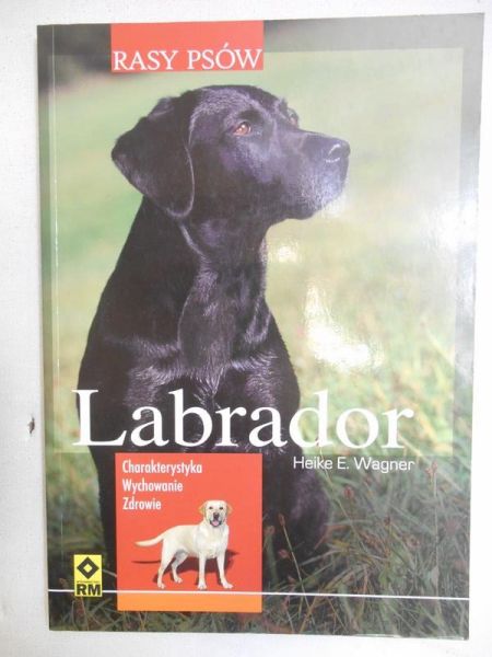 Labrador