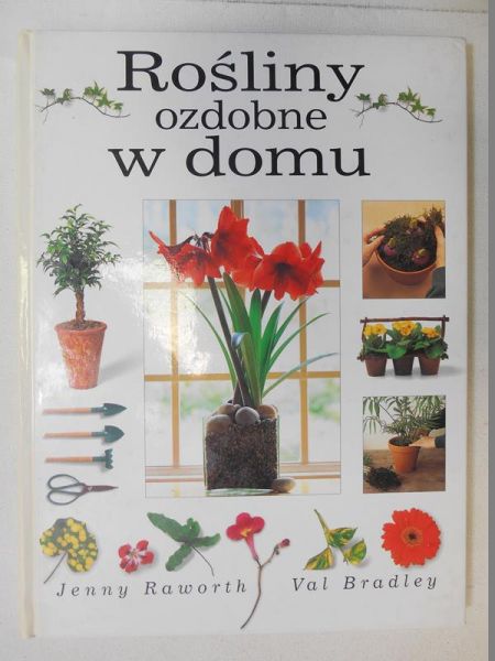 Rośliny ozdobne w domu