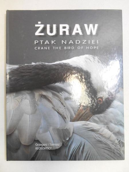Żuraw - ptak nadziei