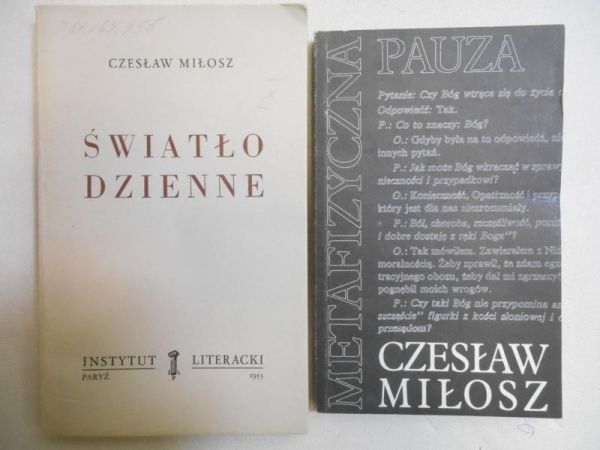 Metafizyczna Pauza / Światło dzienne