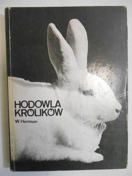 Hodowla królików