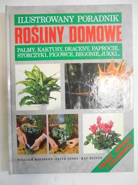 Davidson William - Ilustrowany poradnik rośliny domowe