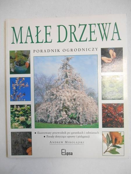 Małe drzewa. Poradnik ogrodniczy