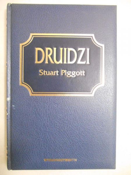 Druidzi