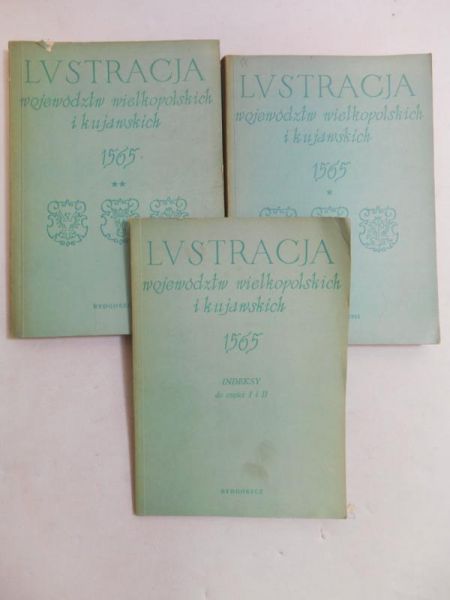 Lustracja województw wielkopolskich i kujawskich 1565, 3 książki