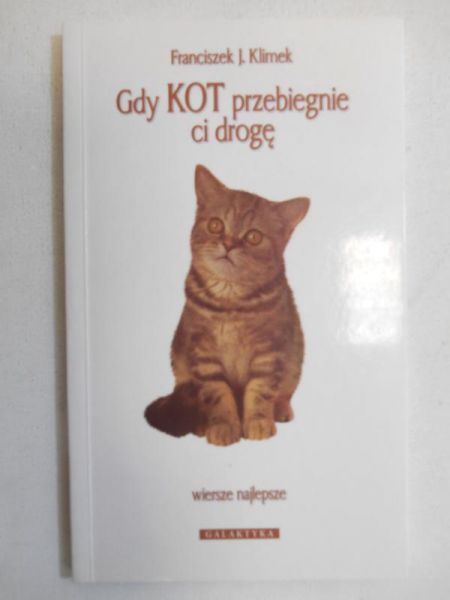 Gdy kot przebiegnie ci drogę