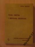 Mończak Polska Fonetyka I Morfologia Historyczna
